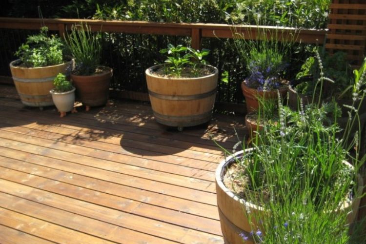 Half Wine Barrel Pot Plants